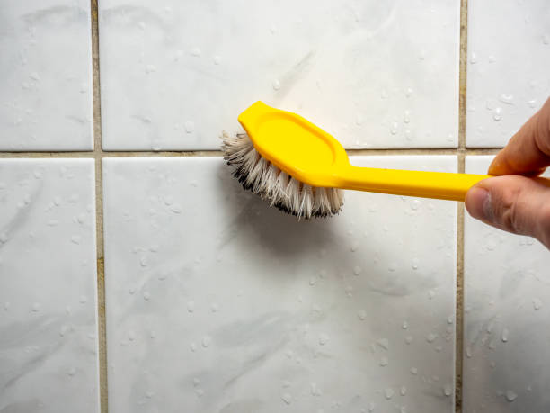 Best Mold Remediation  in Sigourney, IA