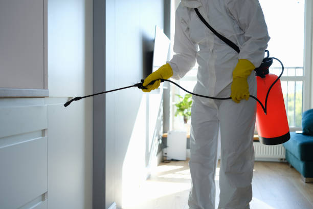 Best Mold Testing  in Sigourney, IA