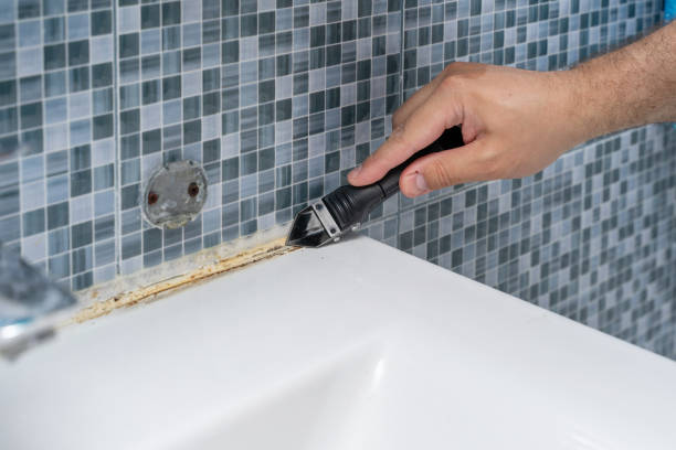 Best Mold Cleaning Services  in Sigourney, IA