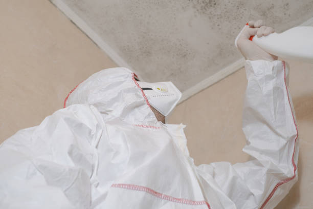 Best Mold Cleaning Services  in Sigourney, IA